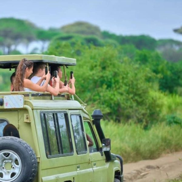 Cheap 4x4 Car Hire Uganda - game drive in national parks